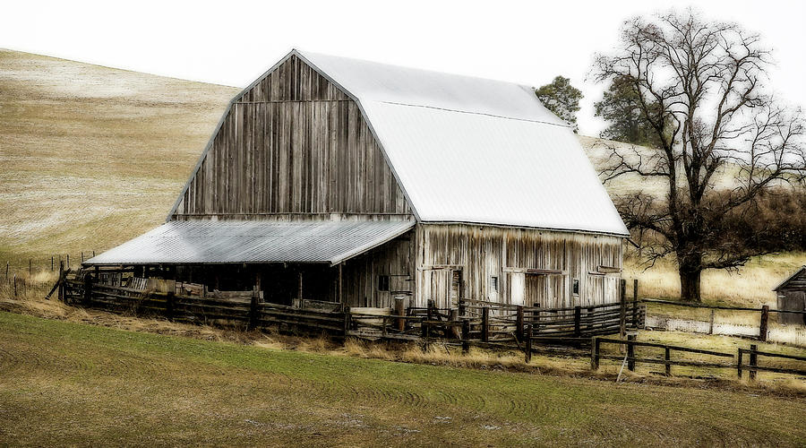 Country Homestead Photograph by Athena Mckinzie