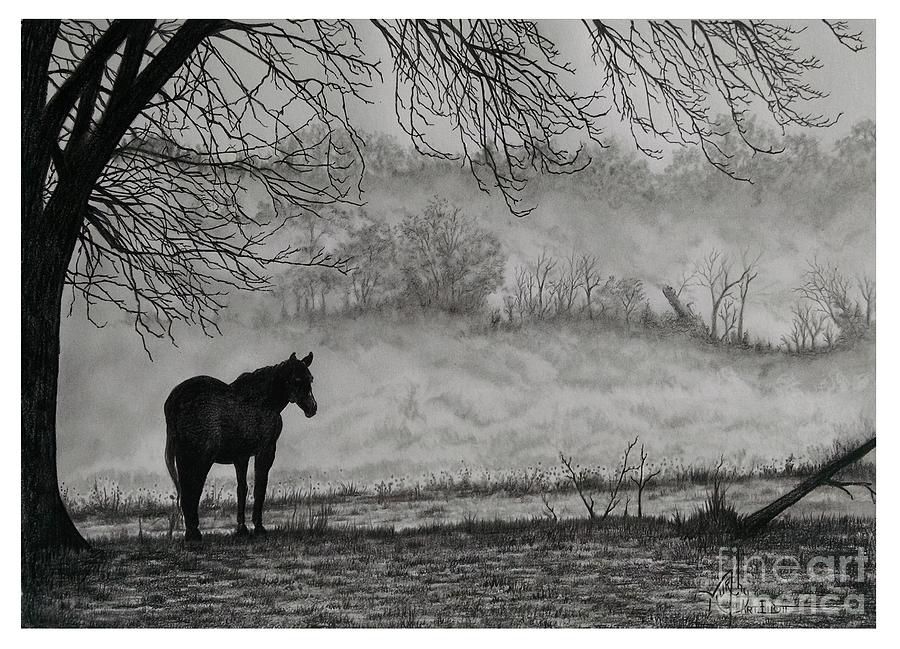 Country Horse Drawing by Murphy Elliott