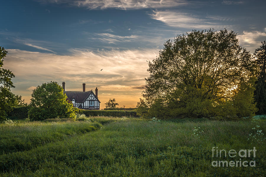 Tree Photograph - Country House by Amanda Elwell