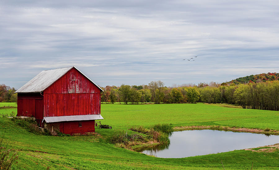 Country in Ohio Photograph by Mary Timman
