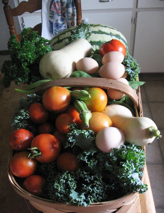 Country Kitchen Harvest by Deb Martin-Webster Country Kitchen Harvest by Deb Martin-Webster