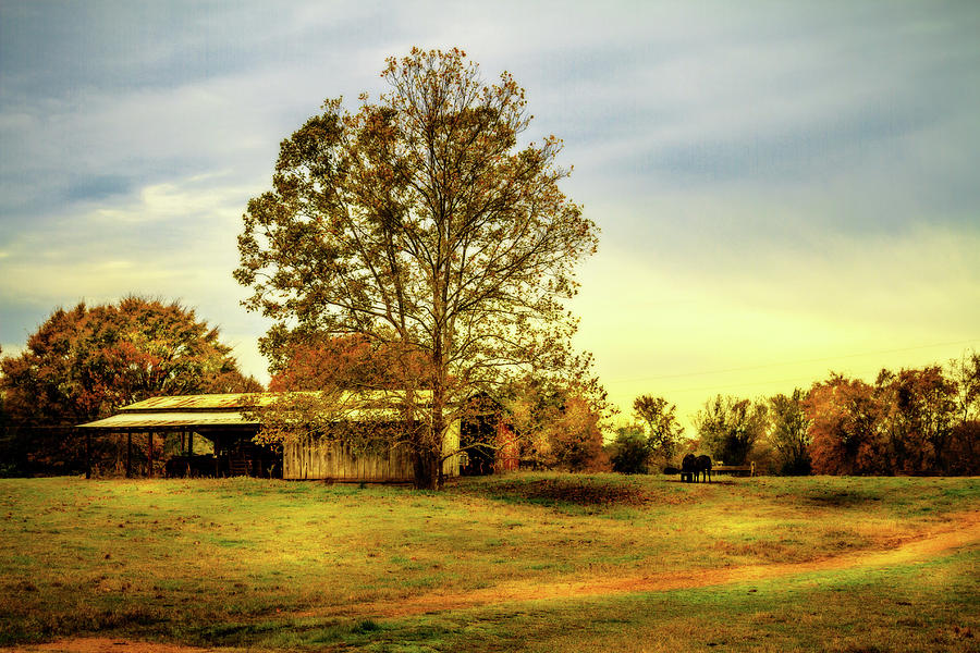 Country Landscape - Barn Art Photograph by Barry Jones