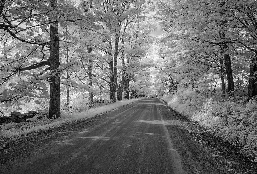 Infrared Photograph - Country Lane by Gordon Ripley