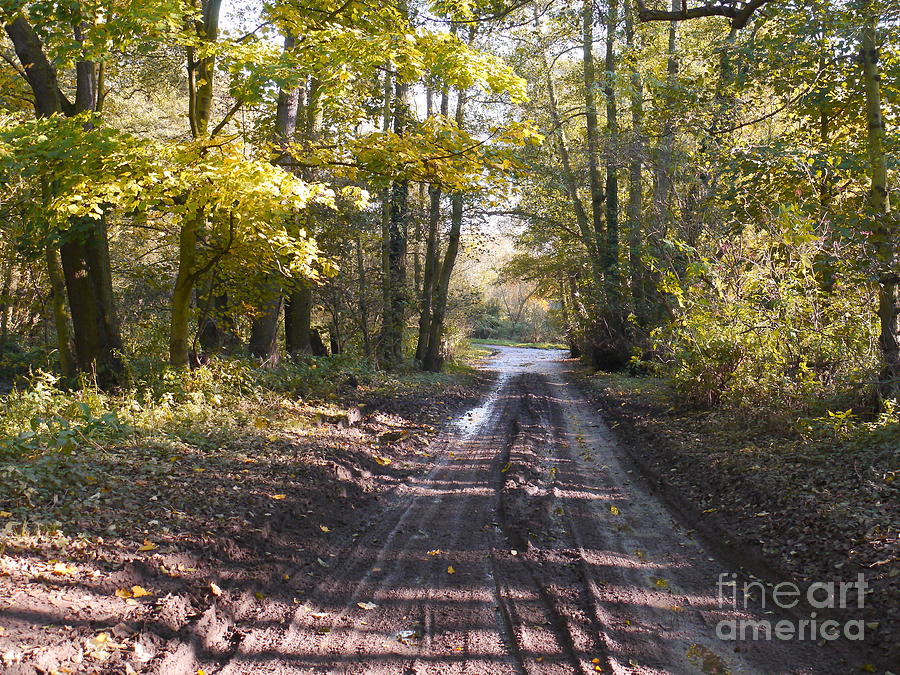 Fall Photograph - Country Lane in Autumn 2 by John Chatterley