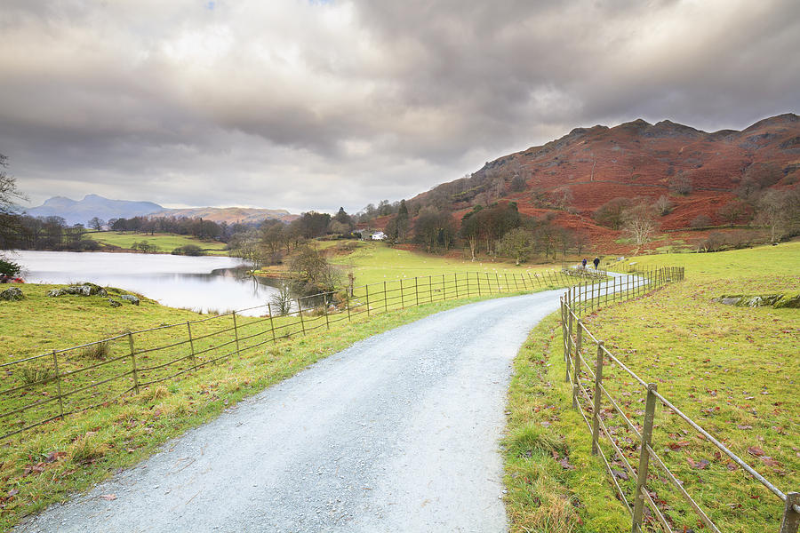 country lane in the lakes UK Photograph by Chris Smith