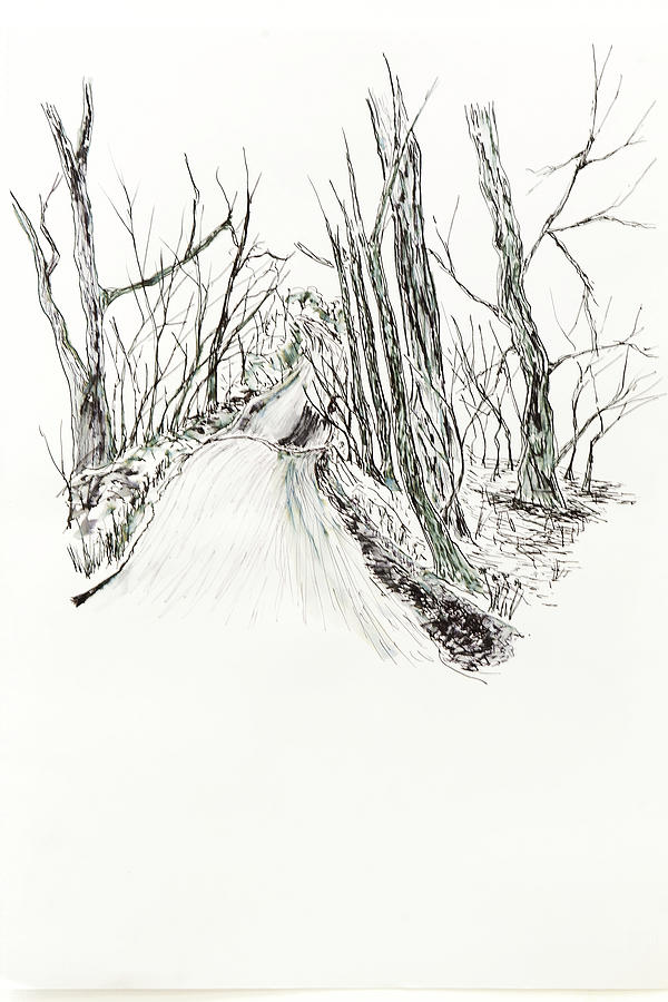 Country Lane Drawing by Mark Rosser - Fine Art America