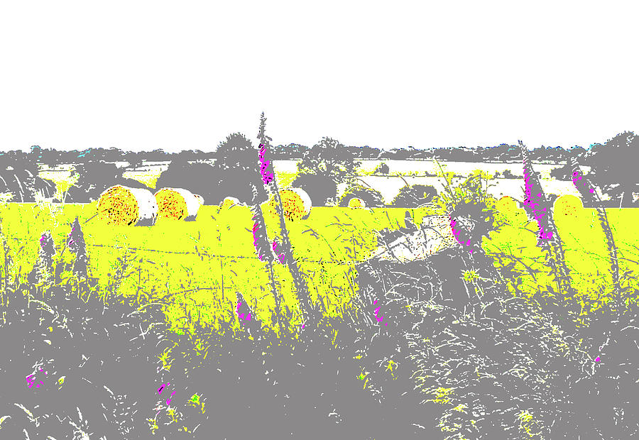 Foxgloves and Bales by Mary Castellan Foxgloves and Bales by Mary Castellan