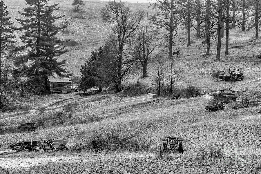 Country Life in Black and White Photograph by Thomas R Fletcher