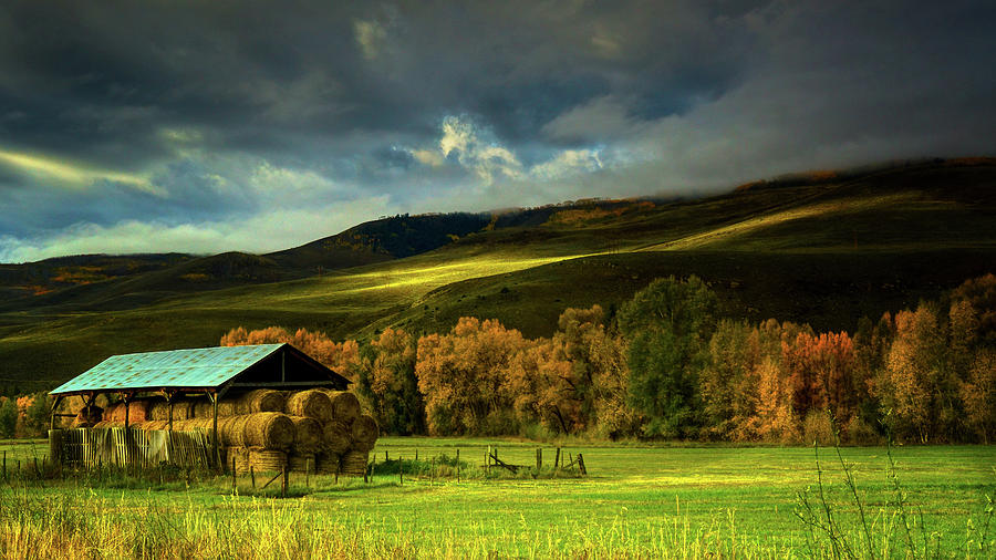 Country Life In Crested Butte Photograph by John De Bord