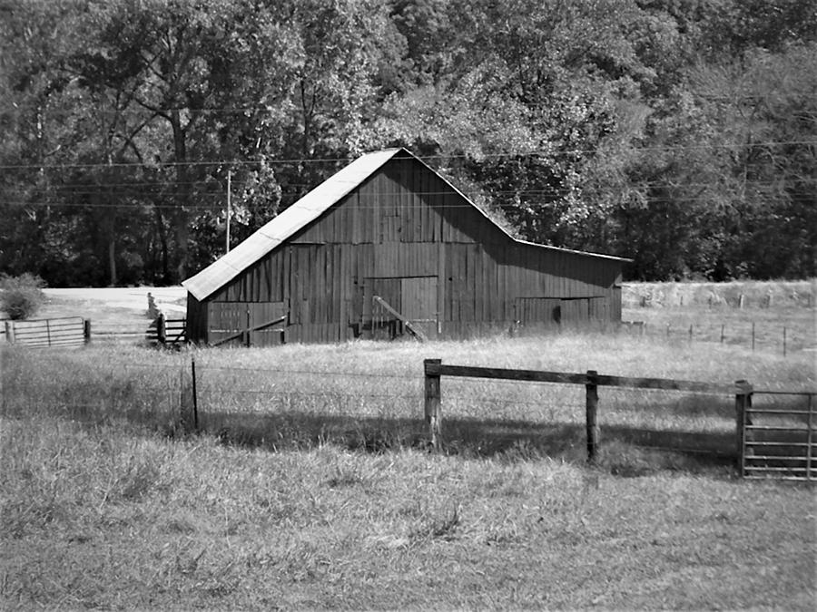 Country Life by Ken Bradford Country Life by Ken Bradford