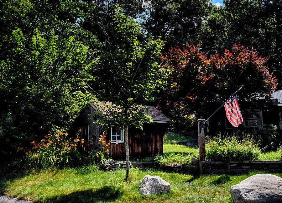 Tree Photograph - Country Life by Tricia Marchlik