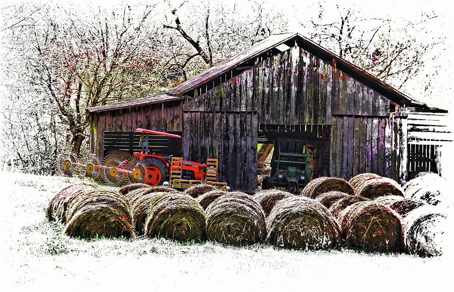 Country Living Photograph by HH Photography of Florida