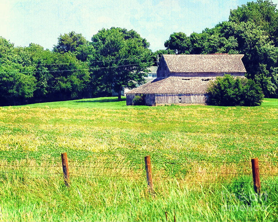 Country Living Photograph by Kathy M Krause