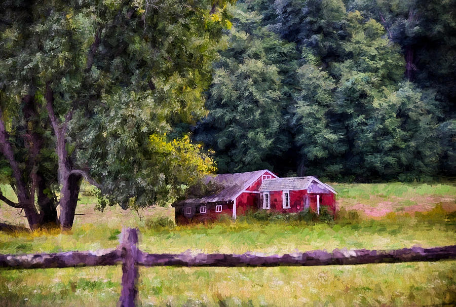 Country Living Photograph by Tricia Marchlik