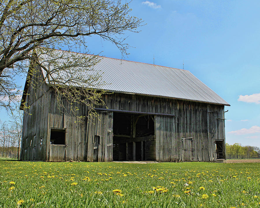 Country Meadow Photograph by Bonnie Phillips - Fine Art America