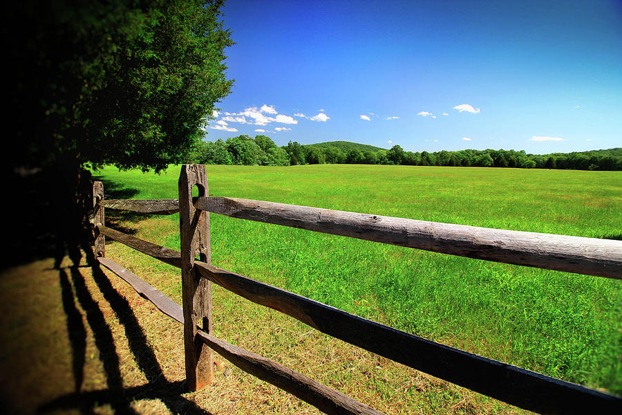 Country Meadow Photograph by Wandering Roots | Pixels