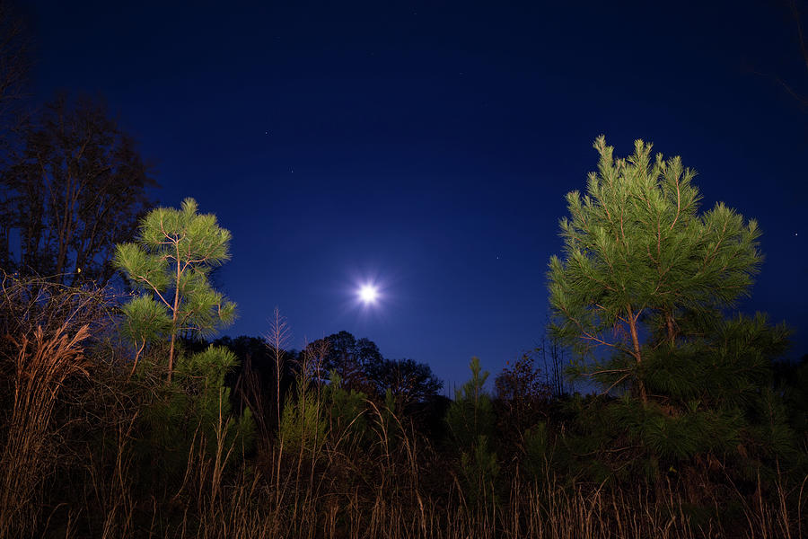Country Moon Photograph by Mark Andrew Thomas