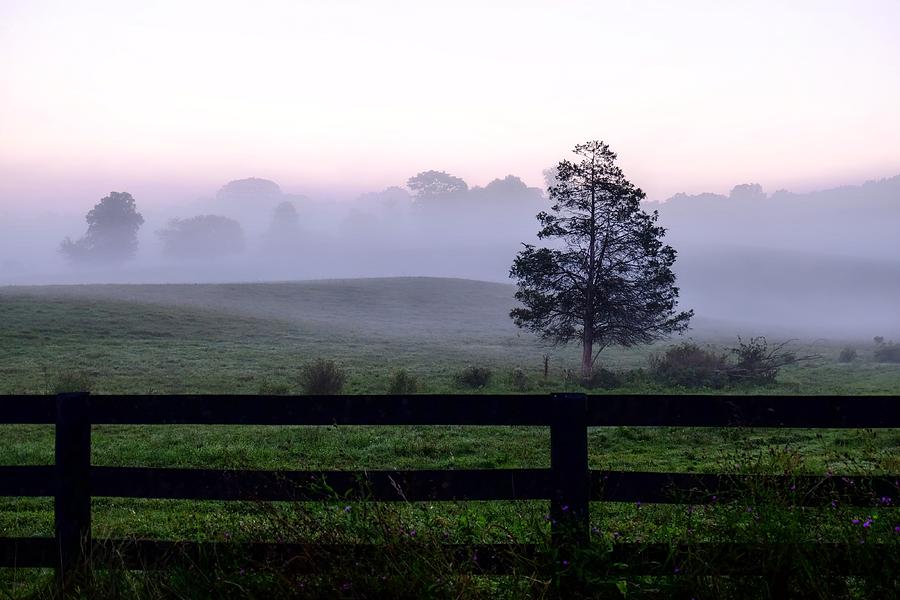 Country morning fog Photograph by Ronda Ryan