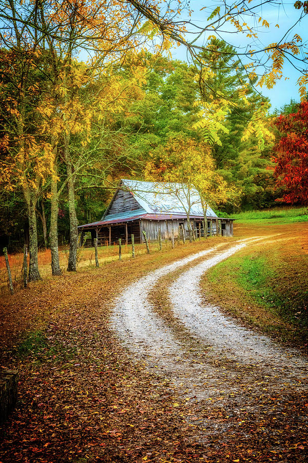 Country Paths II Photograph by Debra and Dave Vanderlaan - Fine Art America