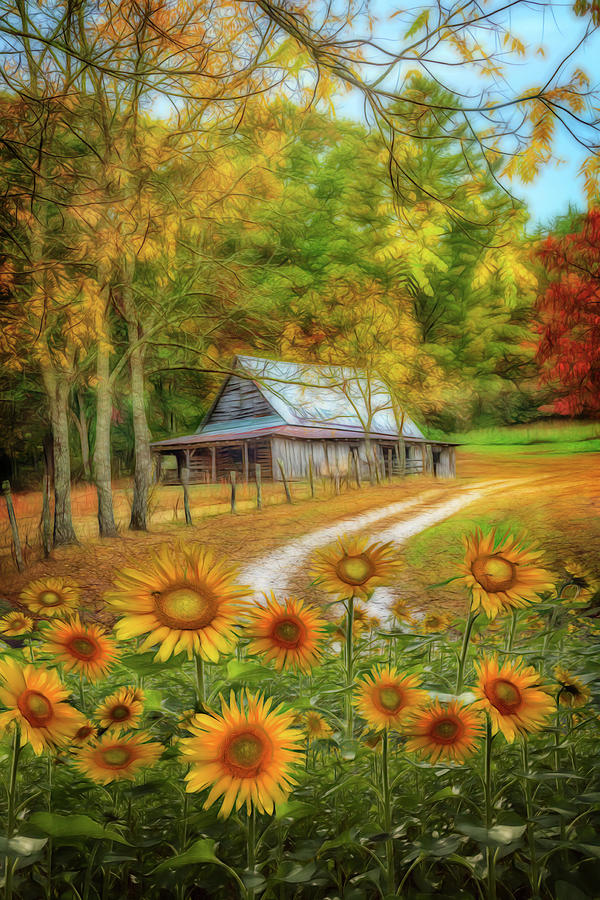 Country Paths Watercolor Painting Photograph by Debra and Dave Vanderlaan