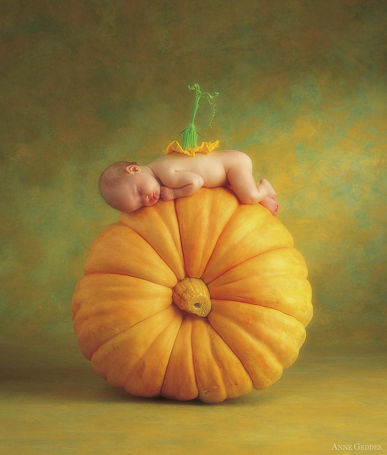 Fall Photograph - Country Pumpkin by Anne Geddes