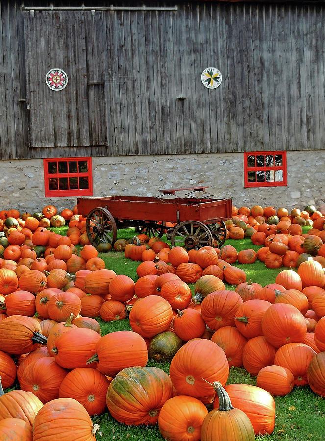 Country Pumpkin Display Photograph