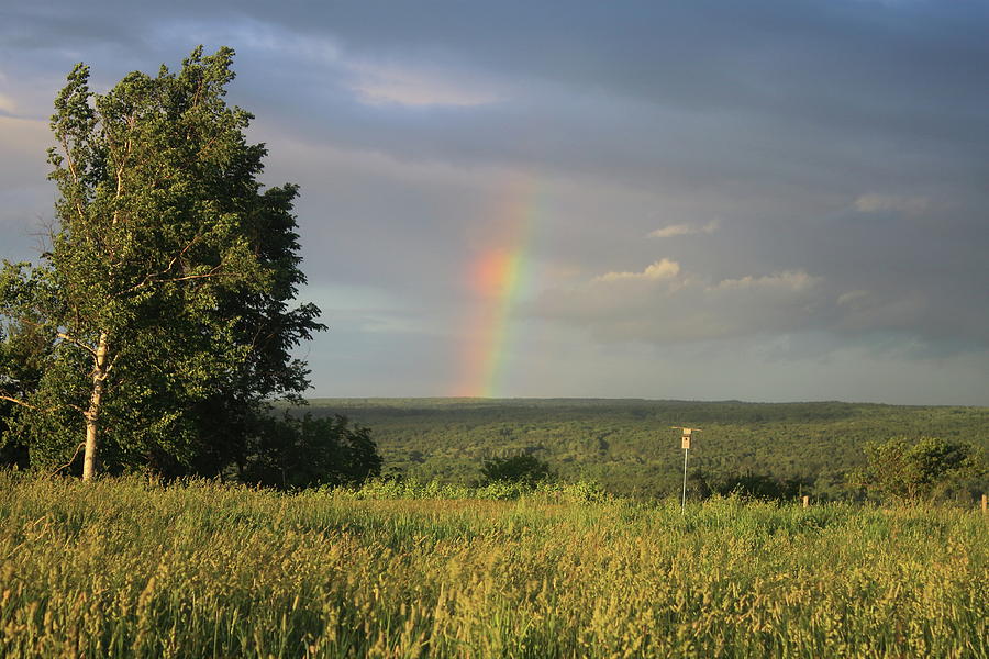 Country Rainbow Photograph by John Burk