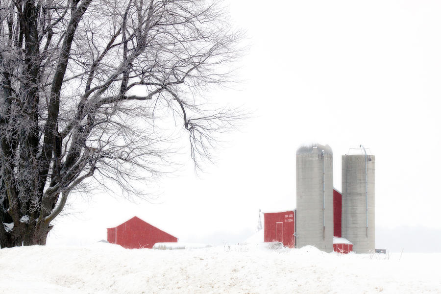 Country Red and White  Photograph by Cathy Beharriell
