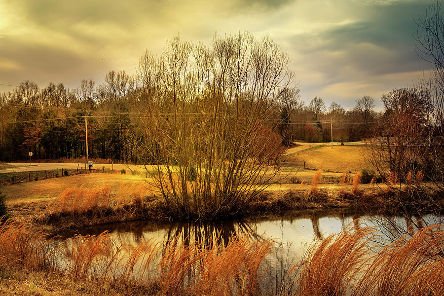 Country Reflections - Rural Landscape Photograph by Barry Jones
