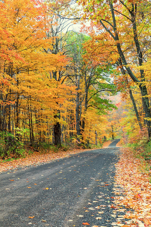 Country Road 10/21 Photograph by Bob Ricketson | Fine Art America