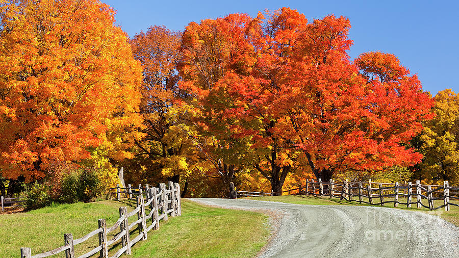 Country Road Autumn Photograph by Alan L Graham