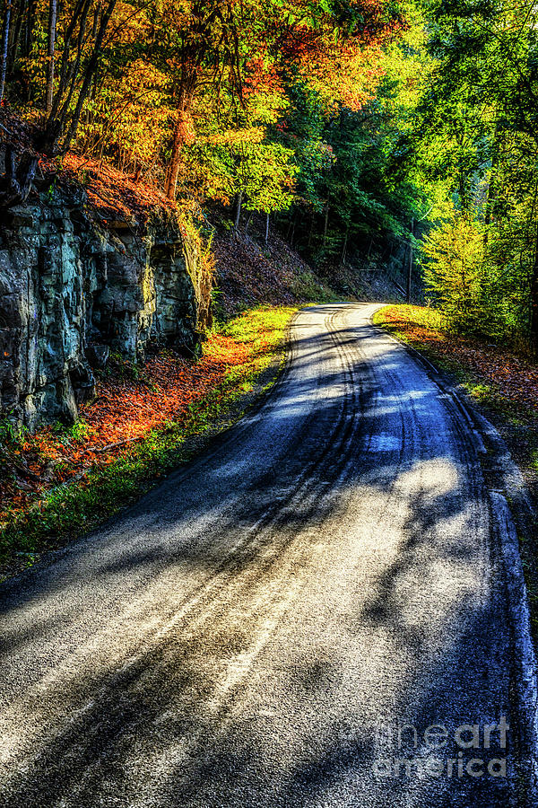 Country Road Autumn Drive Photograph by Thomas R Fletcher