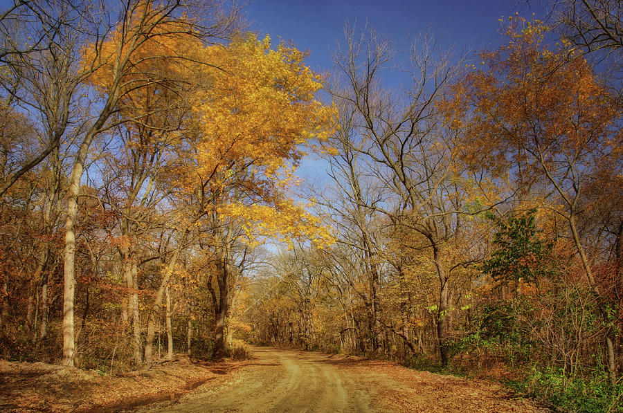 Country Road - Autumn - Iowa Photograph by Nikolyn McDonald