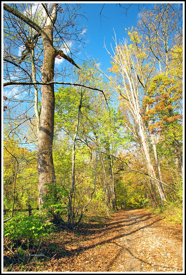 Country Road, Autumn, Montgomery County, Pennsylvania Photograph by A Macarthur Gurmankin
