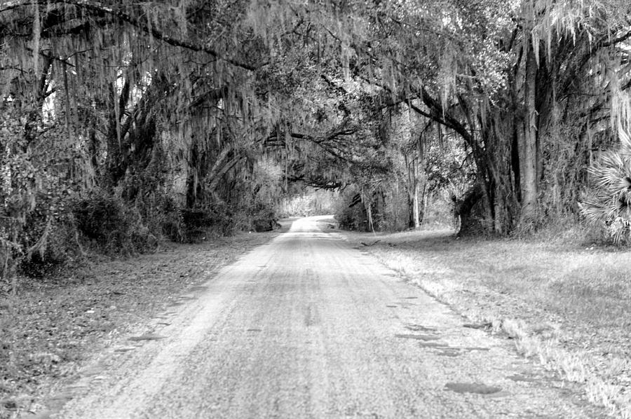 Country Road Photograph by Bill Howard