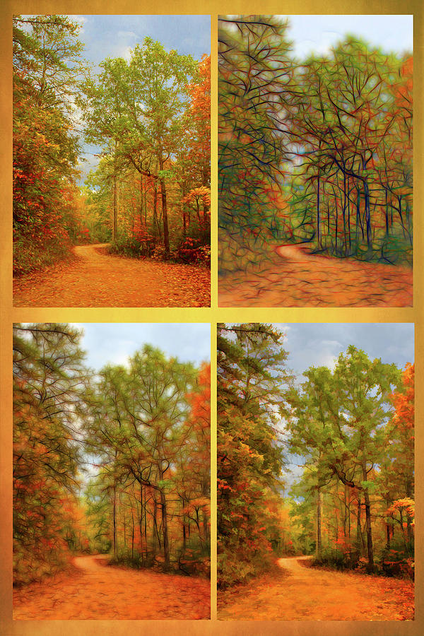 Country Road Collage Photograph by Lorraine Baum