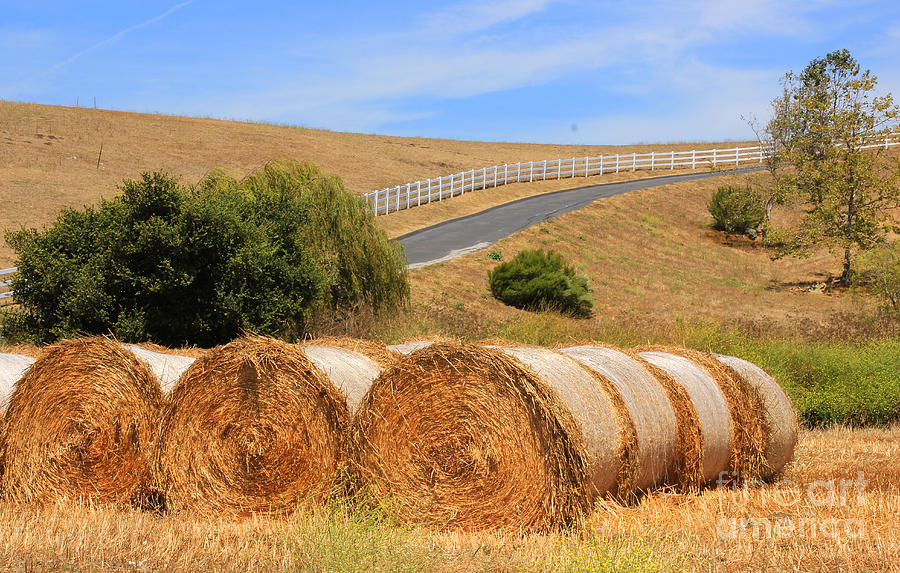 Hay Bales Photograph - Country Road Color by Kris Hiemstra