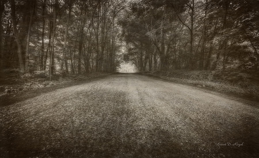 Country Road Photograph by Everet Regal