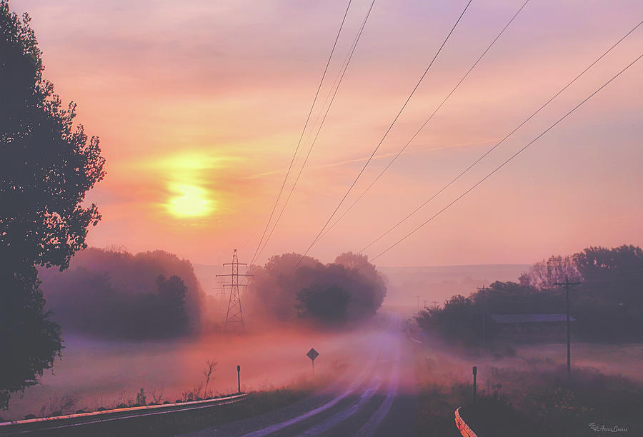 Country Road Foggy Sunrise Photograph by Anna Louise