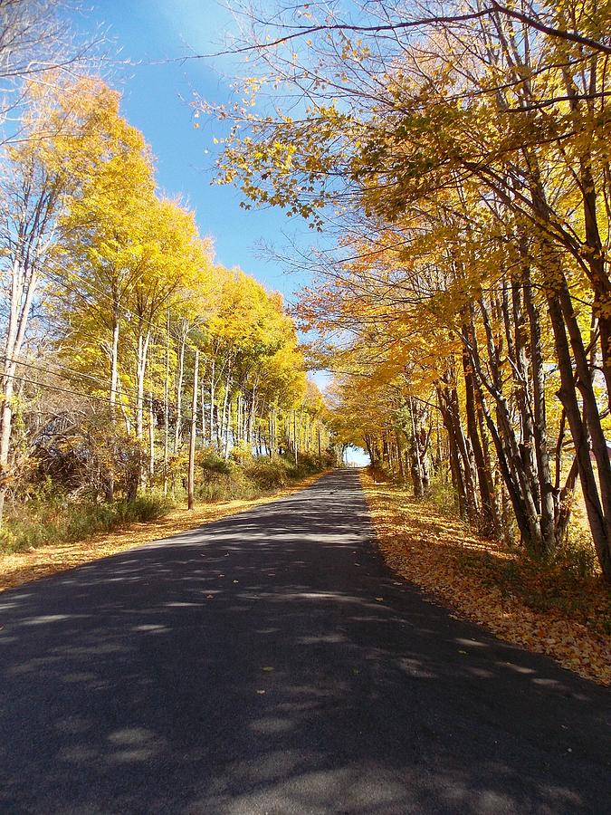 Country Road in Autumn 1 Photograph by Nina Kindred
