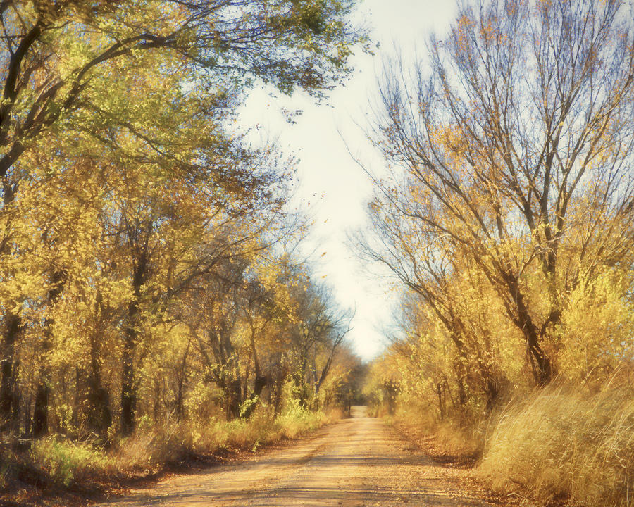 Country Road In Autumn Photograph by Ann Powell