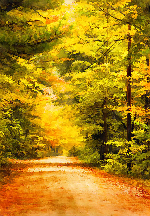 Country Road In Autumn Digital Art Digital Art by Sherry  Curry