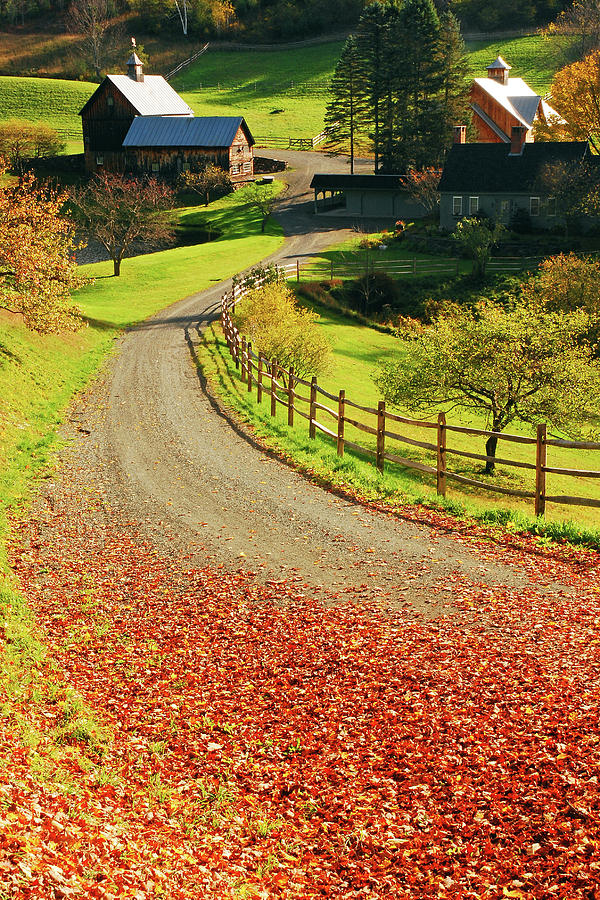Country Road in Autumn Photograph by James Kirkikis
