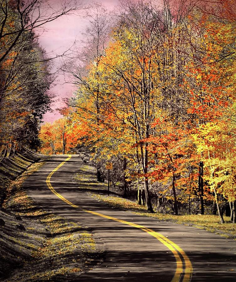  Country  Road  In Autumn  Photograph by Michael Forte