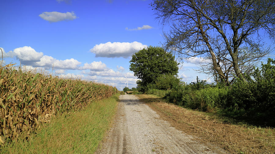 Country Road in Benton County, Indiana Photograph by Scott Kingery