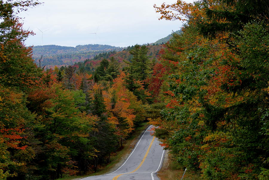 Country Road in Fall Photograph by Lois Lepisto