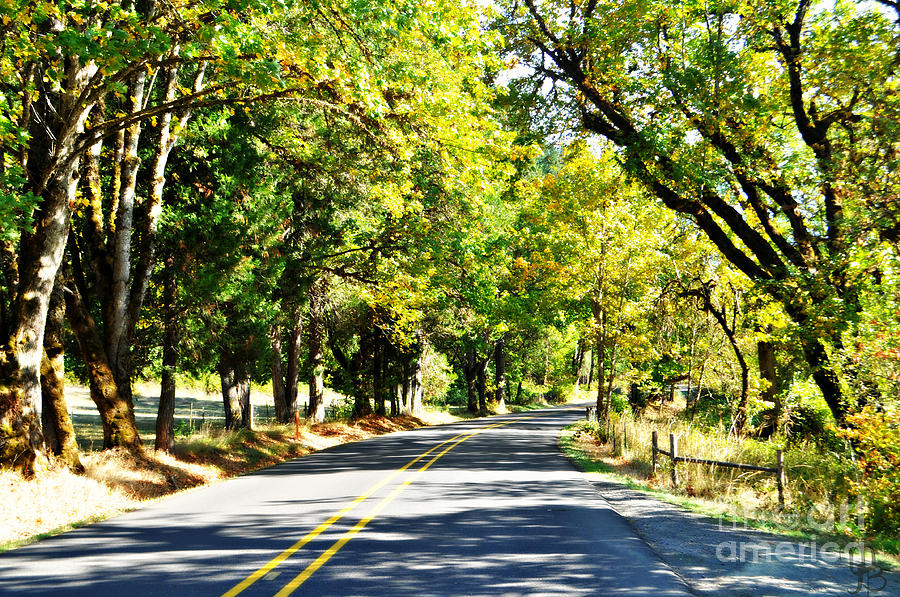 Country Road in Fall  Photograph by Mindy Bench