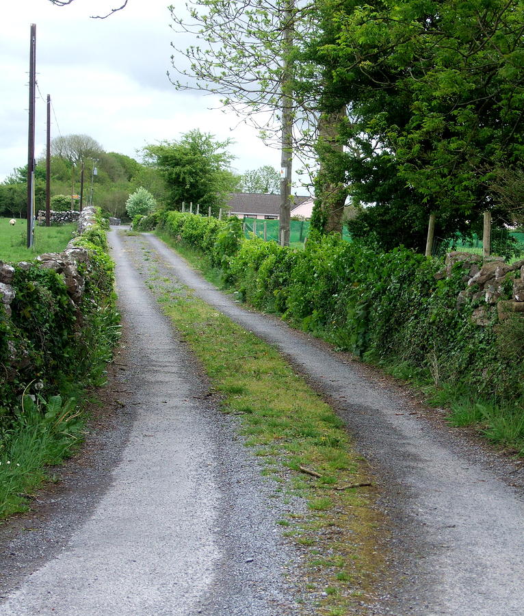 Country Road in Ireland Photograph by Jeanette Oberholtzer