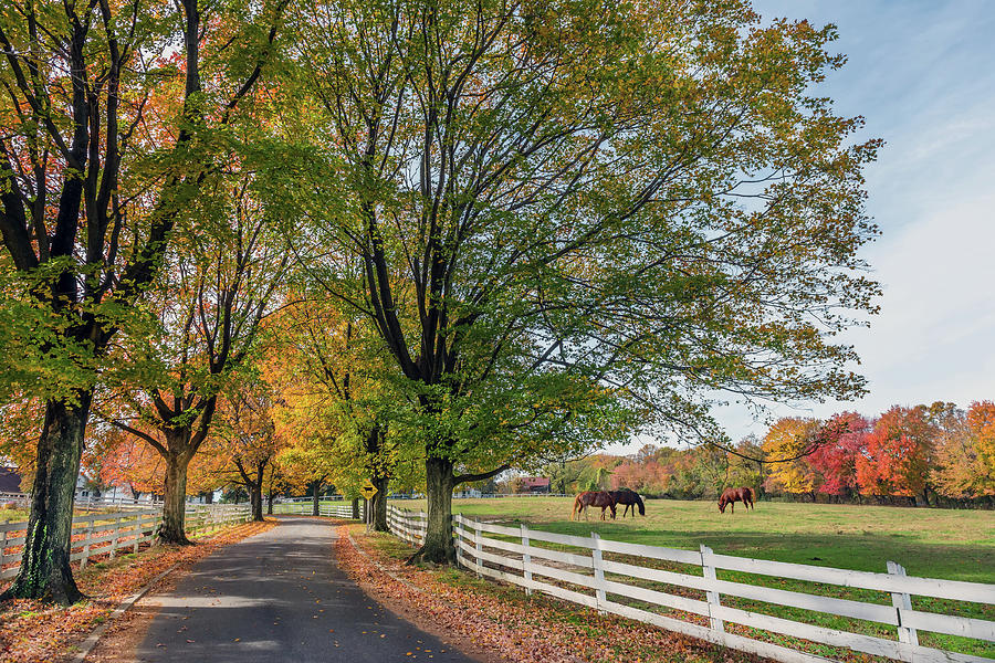 Country Road in rural Maryland during Autumn Photograph by Patrick Wolf