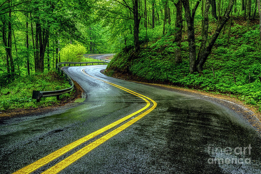 Spring Photograph - Country Road in Spring Rain by Thomas R Fletcher